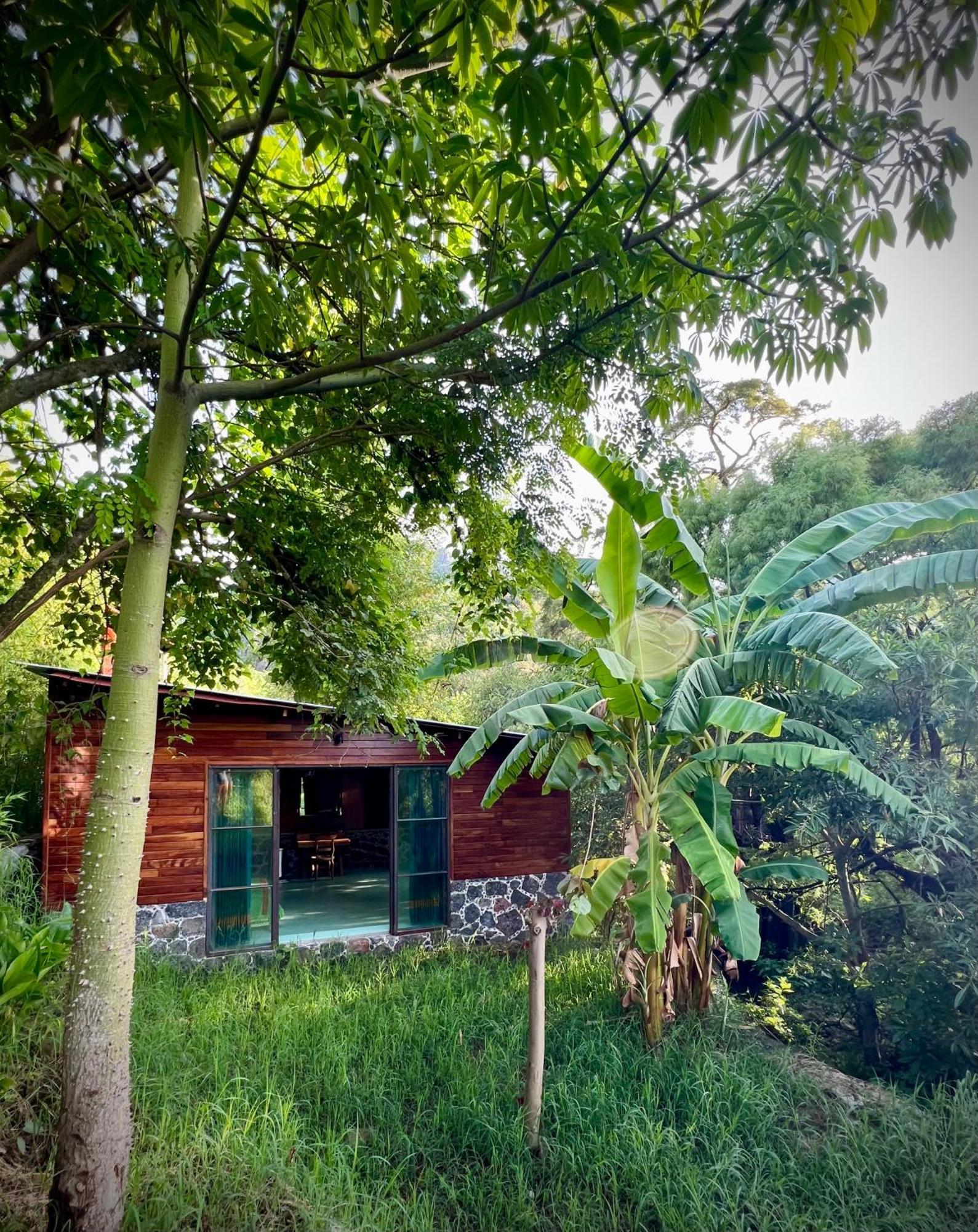 Santuario Ave Fenix-Cabanas Tepoztlán Buitenkant foto